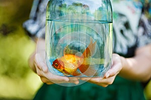 Jar with gold fish in hands