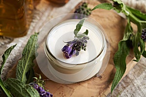 A jar of homemade comfrey ointment with fresh blooming symphytum officinale or knitbone twigs