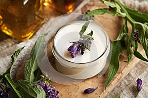 A jar of homemade comfrey ointment with fresh blooming symphytum officinale plant photo