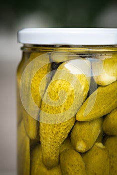 Jar of homemade Pickled Gherkins