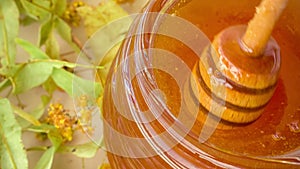 Jar of Honey with Honey Dipper, Limetree Leaves on Background