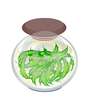 A Jar of Pickled Green Winged Beans