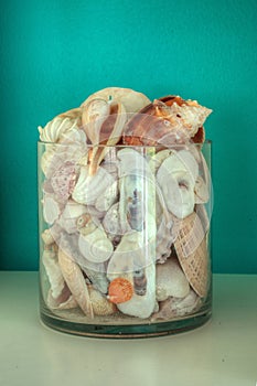 Jar of various seashells against an aqua blue green background