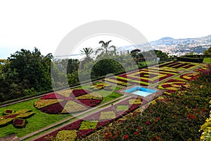 Jardim Botanico da Madeira