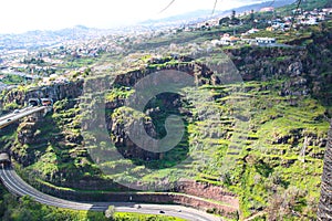 Jardim Botanico da Madeira