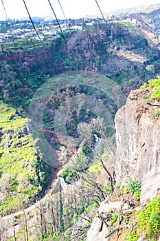 Jardim Botanico da Madeira