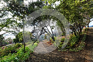 Jardim Botanico da Madeira