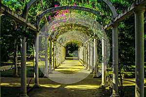 Jardim Botanico, Rio de Janeiro