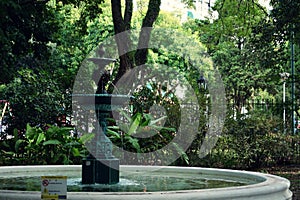 Jardin botanico Carlos Thays