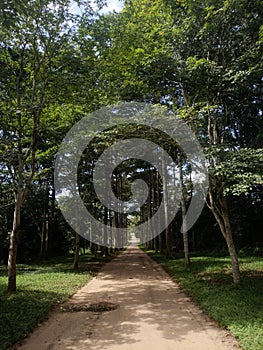 Jardin Botanique de Kisantu photo