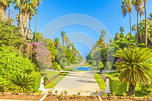 Jardin d`essais, Algiers