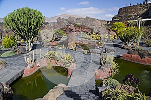 Jardin De Cactus Lanzarote