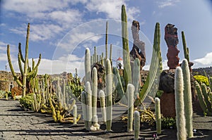 Jardin De Cactus Lanzarote