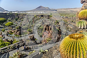Jardin De Cactus Lanzarote photo