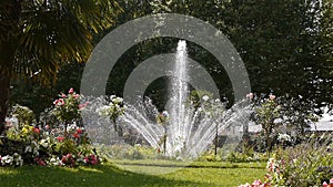Jardin de L`Eveche, fountain and palm tree in Lisieux