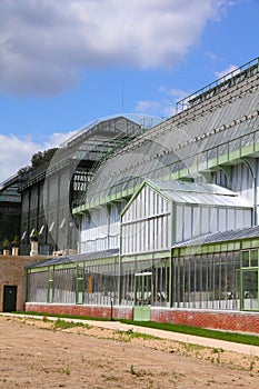 Jardin des Plantes greenhouse