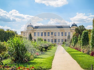 Jardin des Plantes - Paris