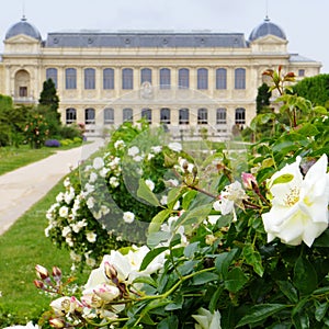 Jardin des Plantes, Paris, France photo