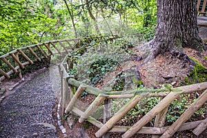 Jardin des plantes park in fall season photo