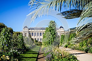 Jardin des plantes Park and museum, Paris, France