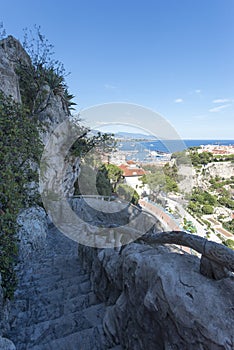 Jardin Exotique de Monaco