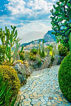 Jardin Exotique garden in Monaco