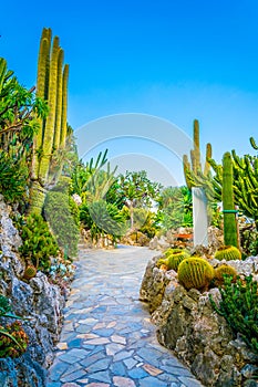 Jardin Exotique garden in Monaco