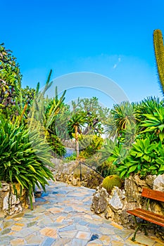 Jardin Exotique garden in Monaco