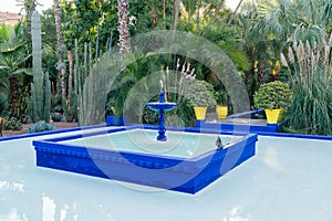 Jardin Majorelle by Yves Saint Laurent.