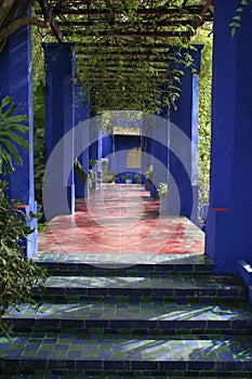 Jardine Majorelle photo