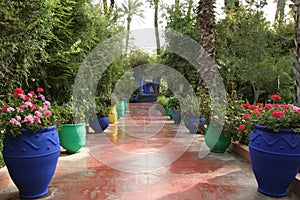 Jardine Majorelle photo