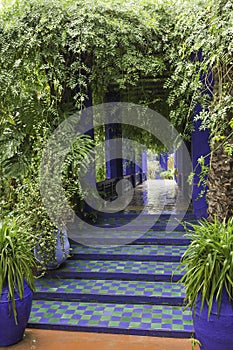 Jardine majorelle on a rainy day photo