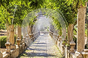 Jardines de Alfabia, Mallorca