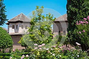 Jardines del Generalife en la Alhambra de Granada, EspaÃƒÂ±a.NEF