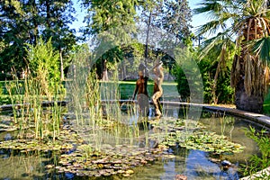 Jardines del Real, Walk in-between trees - Viveros Valencia, near old dry riverbed of the River Turia photo