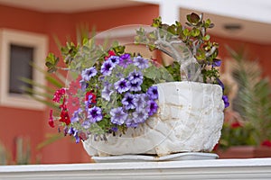 Jardiniere - with colorful petunias