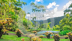 Jardins de la Balata in Fort-De-France, Martinique. photo