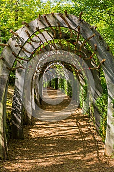 Jardins de Marqueyssac