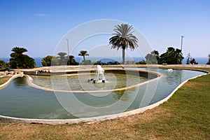 Jardins del Mirador park in Barcelona