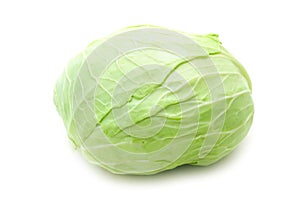 Jaroma Cabbage