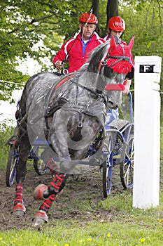 Jaroslav Jirgala in Central Europe Driving Cup