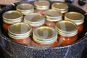 Jars of Freshly Canned Homemade Salsa Boiling in Pot