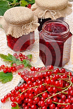 Jars of homemade red currant jam with fresh fruits