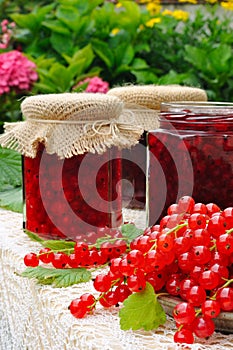 Jars of homemade red currant jam with fresh fruits