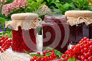 Jars of homemade red currant jam with fresh fruits