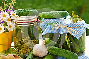 Jars of pickled cucumbers in the garden photo