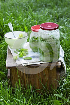 Jars of spruce sprouts and sugar, and ingredients for making syrup.