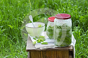 Jars of spruce sprouts and sugar, and ingredients for making syrup.