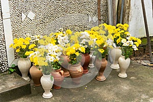 Jars with yellow flowers in a row on the floor for gifts