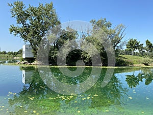 Jarun - small lake or Jarun small lake and the Island of rowers during the summer, Zagreb - Croatia /Jarun - malo jezero